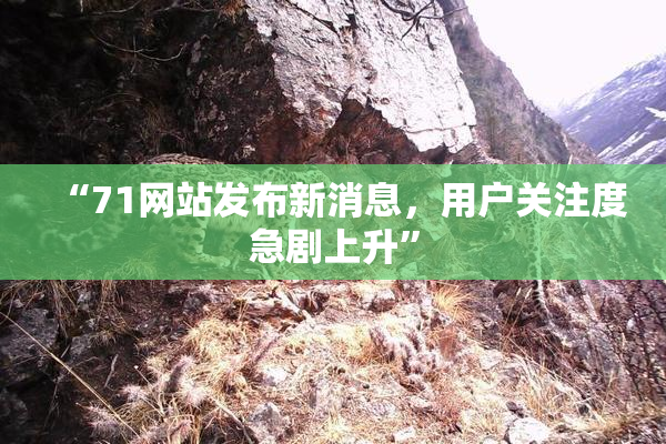 “71网站发布新消息，用户关注度急剧上升”
