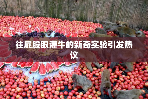 往屁股眼灌牛的新奇实验引发热议