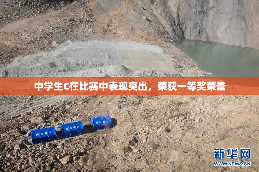 中学生C在比赛中表现突出，荣获一等奖荣誉
