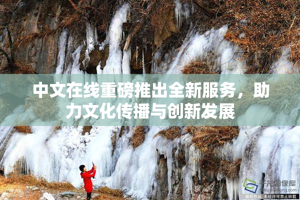 中文在线重磅推出全新服务，助力文化传播与创新发展