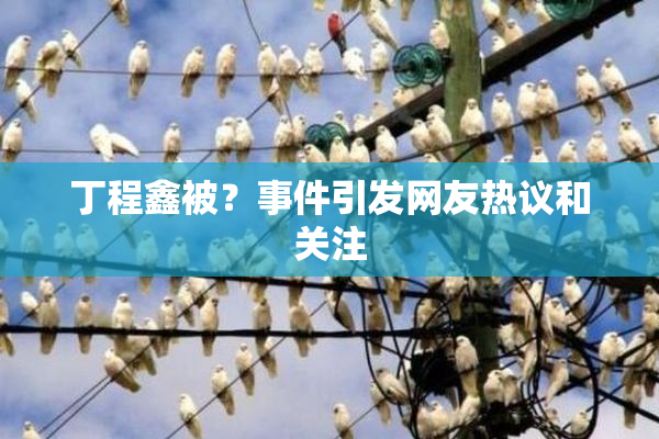 丁程鑫被？事件引发网友热议和关注