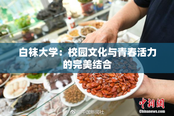 白袜大学：校园文化与青春活力的完美结合