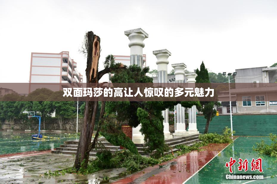 双面玛莎的高让人惊叹的多元魅力
