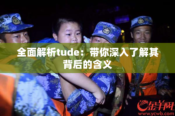 全面解析tude：带你深入了解其背后的含义