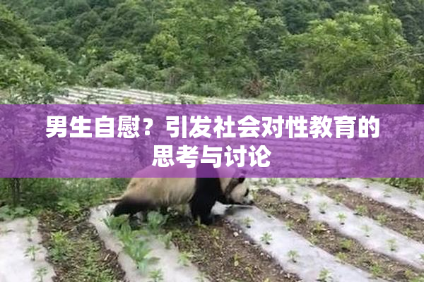 男生自慰？引发社会对性教育的思考与讨论