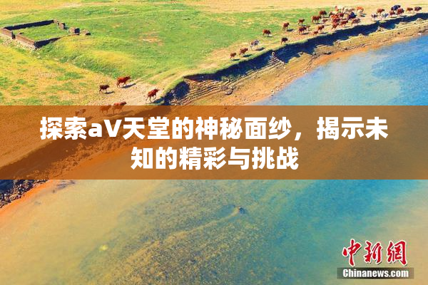 探索a∨天堂的神秘面纱，揭示未知的精彩与挑战