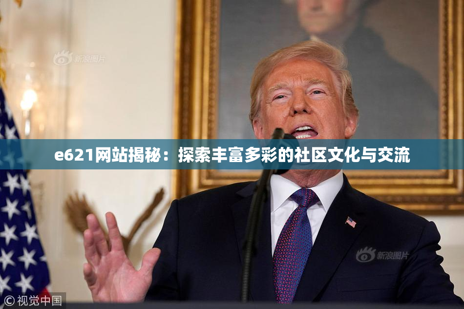 e621网站揭秘：探索丰富多彩的社区文化与交流