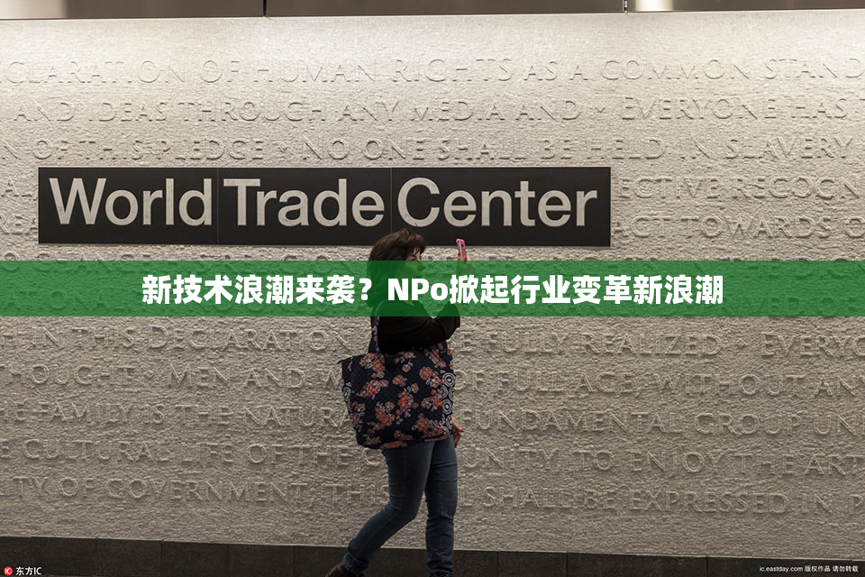 新技术浪潮来袭？ΝPo掀起行业变革新浪潮