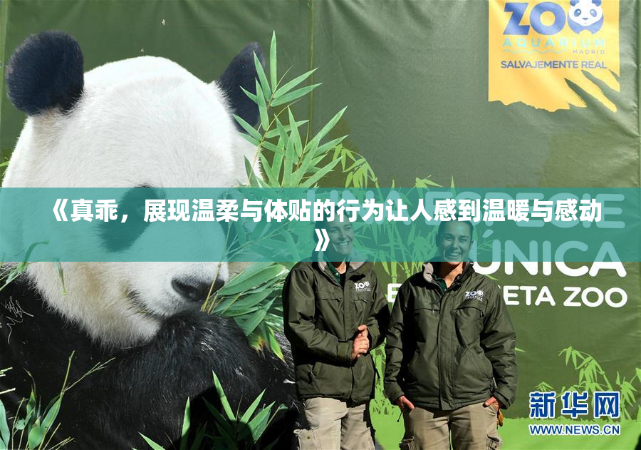 《真乖，展现温柔与体贴的行为让人感到温暖与感动》
