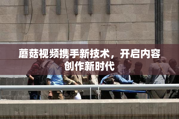 蘑菇视频携手新技术，开启内容创作新时代