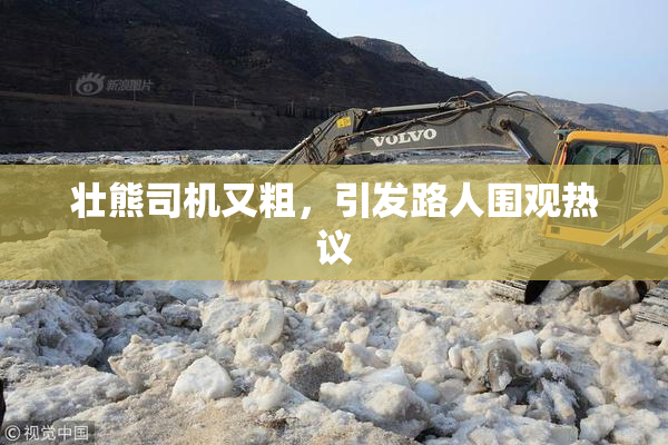 壮熊司机又粗，引发路人围观热议