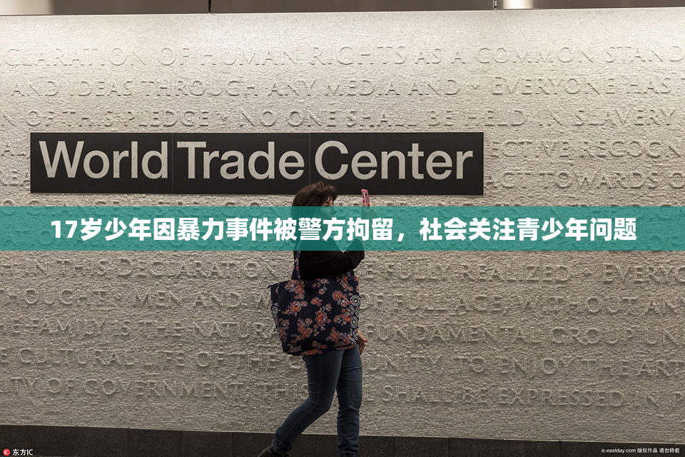 17岁少年因暴力事件被警方拘留，社会关注青少年问题