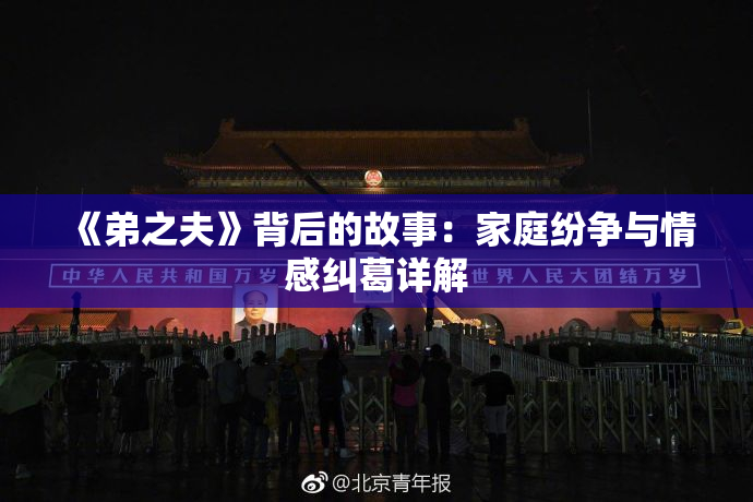 《弟之夫》背后的故事：家庭纷争与情感纠葛详解
