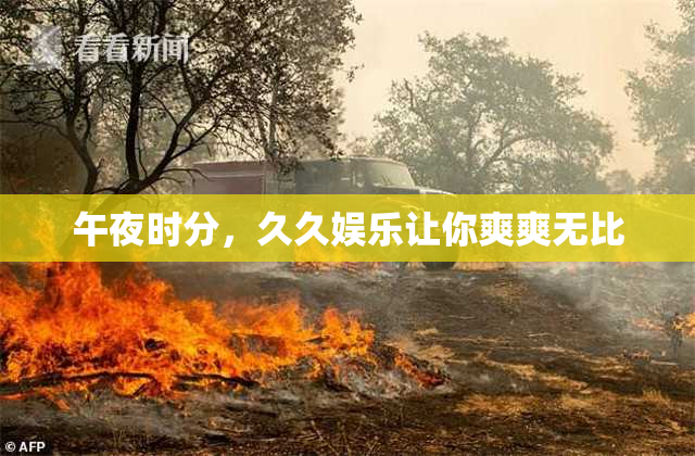 午夜时分，久久娱乐让你爽爽无比