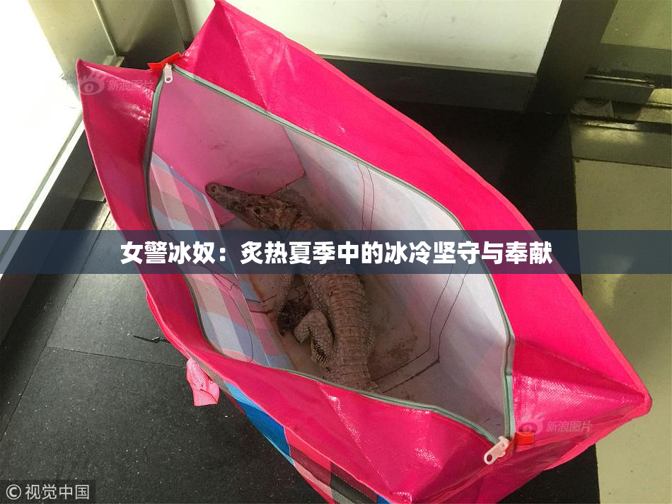 女警冰奴：炙热夏季中的冰冷坚守与奉献