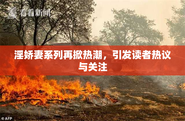 淫娇妻系列再掀热潮，引发读者热议与关注
