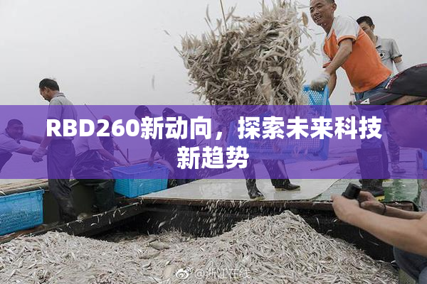RBD260新动向，探索未来科技新趋势