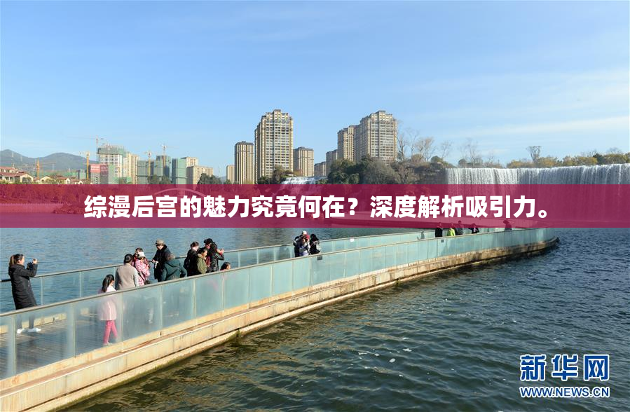 综漫后宫的魅力究竟何在？深度解析吸引力。