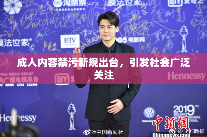 成人内容禁污新规出台，引发社会广泛关注