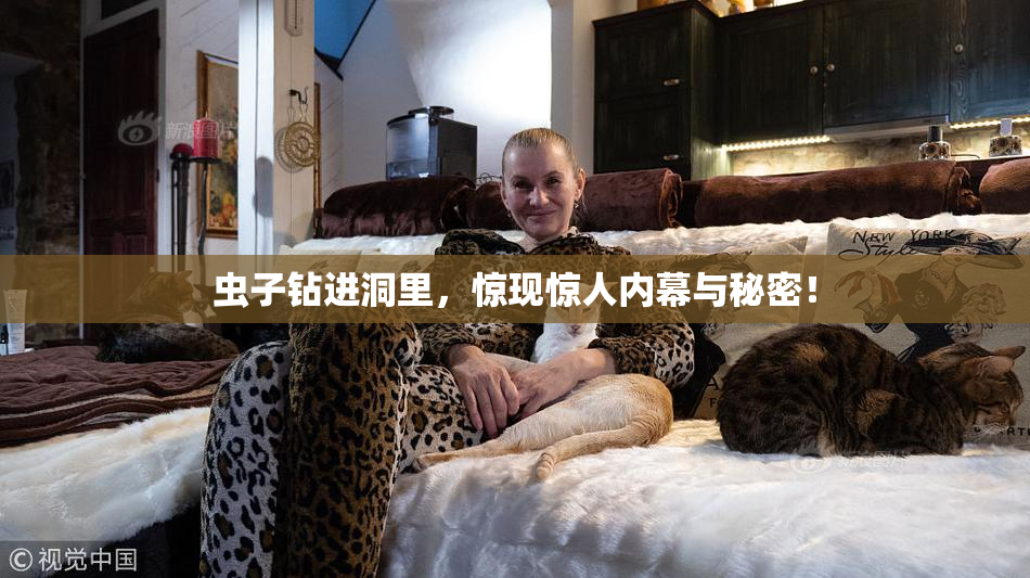 虫子钻进洞里，惊现惊人内幕与秘密！