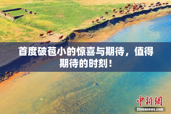 首度破苞小的惊喜与期待，值得期待的时刻！