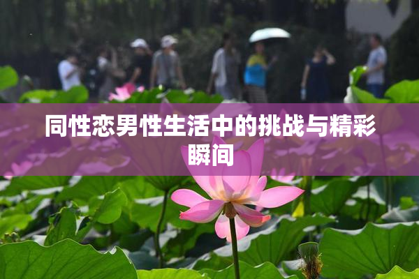 同性恋男性生活中的挑战与精彩瞬间