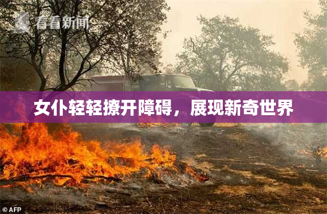 女仆轻轻撩开障碍，展现新奇世界