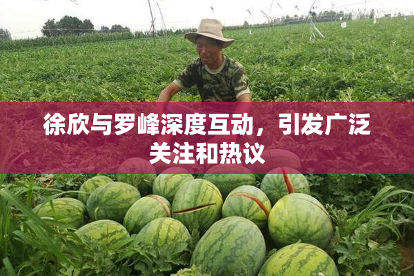 徐欣与罗峰深度互动，引发广泛关注和热议