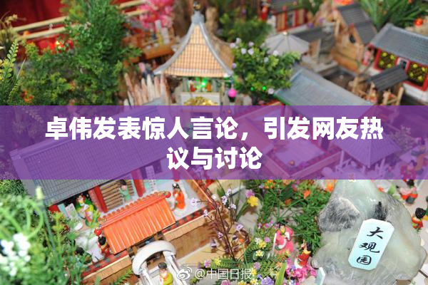 卓伟发表惊人言论，引发网友热议与讨论