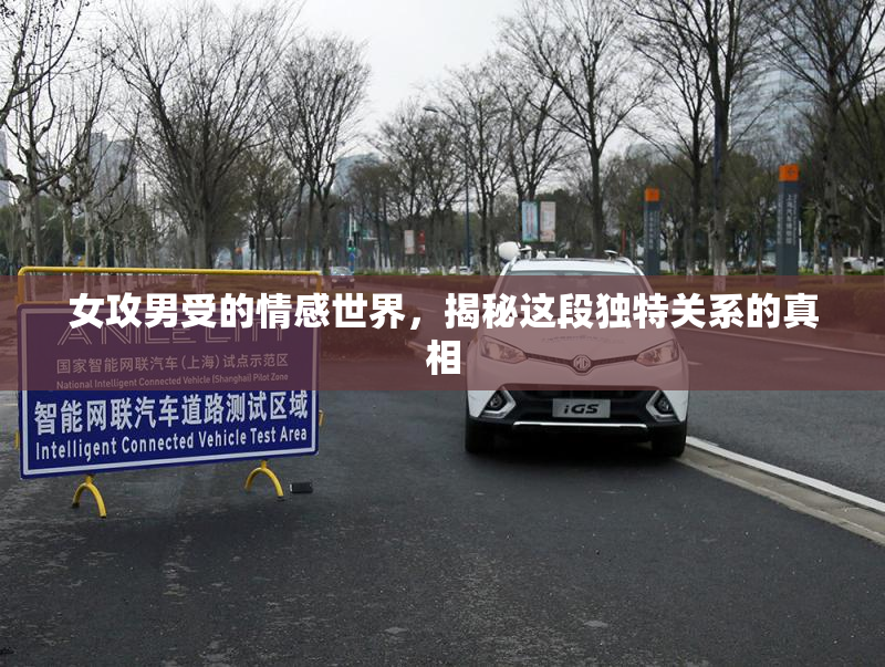 女攻男受的情感世界，揭秘这段独特关系的真相