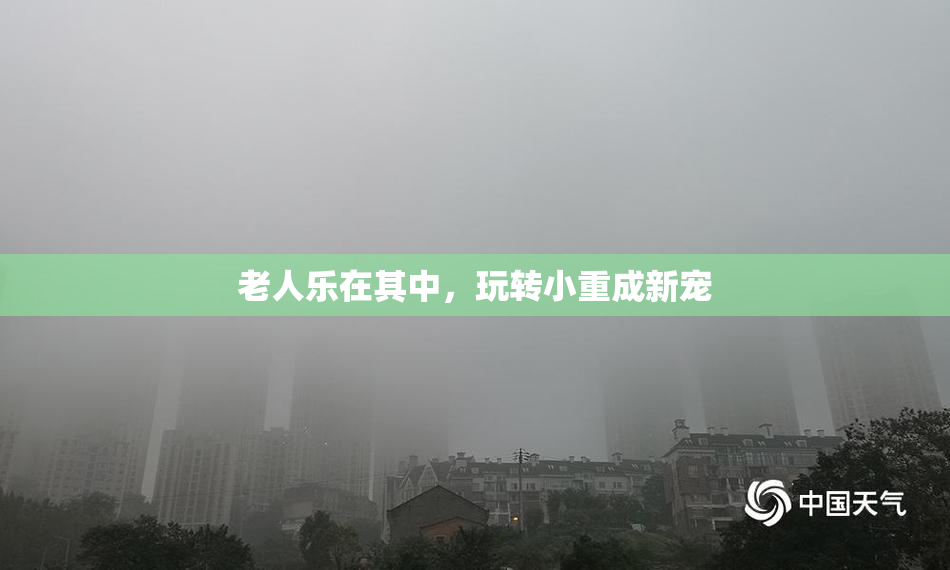 老人乐在其中，玩转小重成新宠
