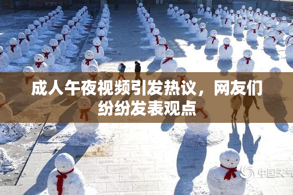 成人午夜视频引发热议，网友们纷纷发表观点