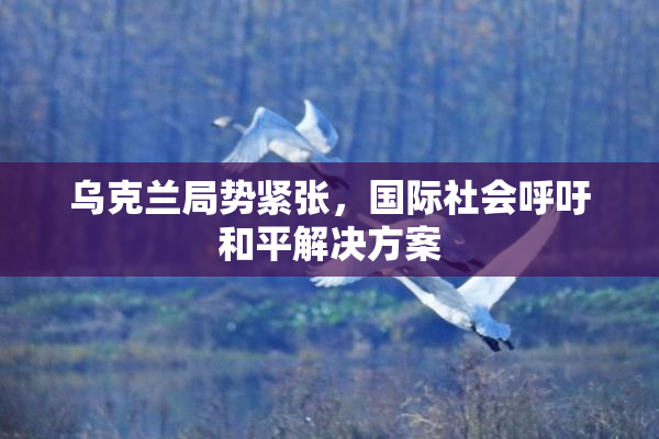 乌克兰局势紧张，国际社会呼吁和平解决方案