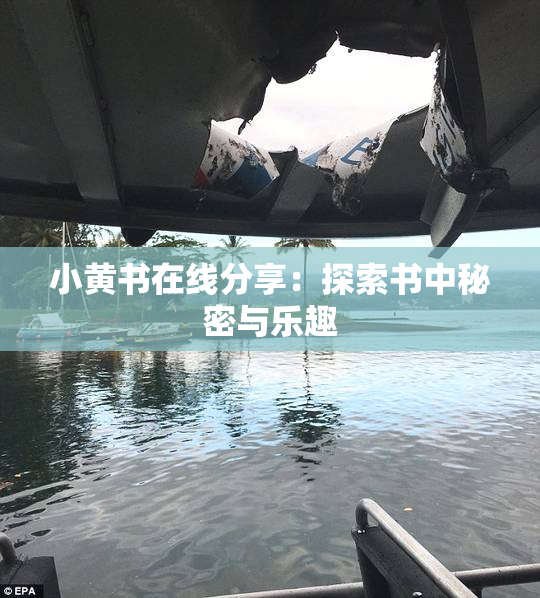 小黄书在线分享：探索书中秘密与乐趣