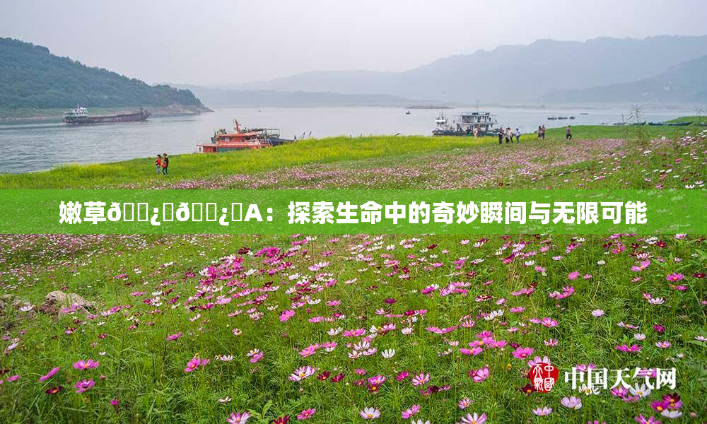 嫩草🌿‌🌿‌A：探索生命中的奇妙瞬间与无限可能