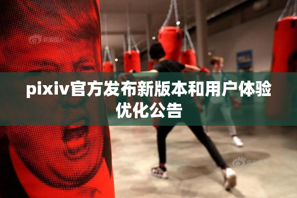 pixiv官方发布新版本和用户体验优化公告