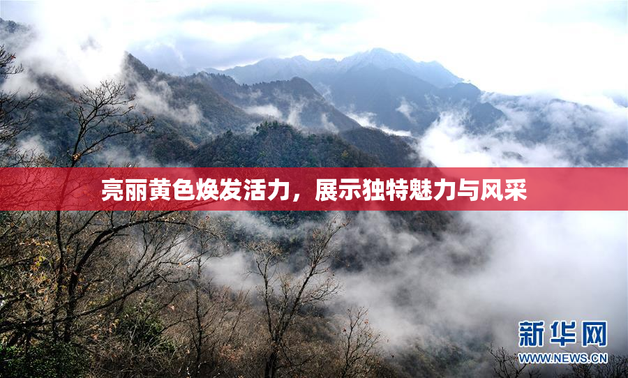 亮丽黄色焕发活力，展示独特魅力与风采