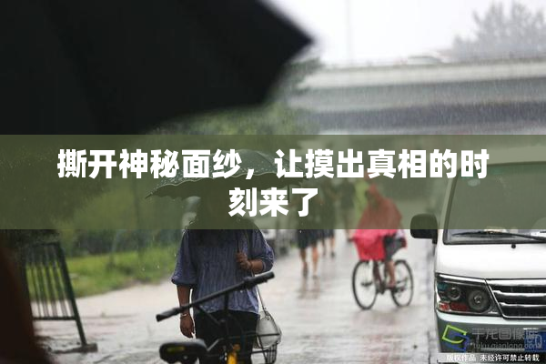 撕开神秘面纱，让摸出真相的时刻来了