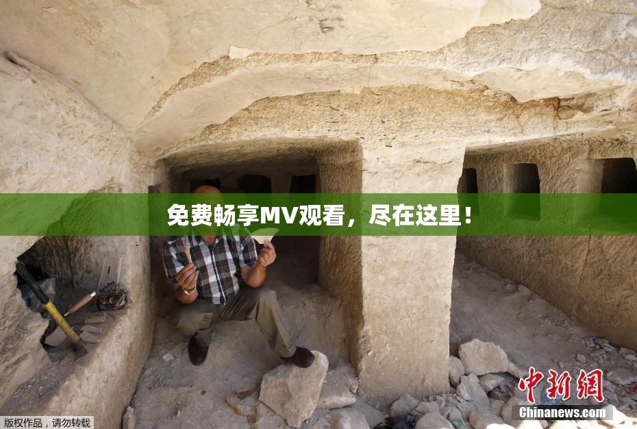 免费畅享MV观看，尽在这里！