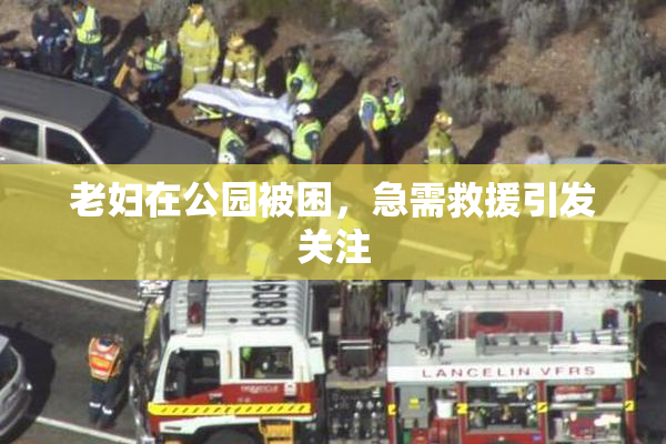 老妇在公园被困，急需救援引发关注