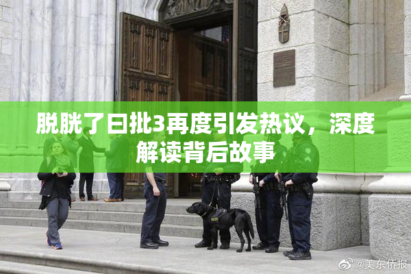 脱胱了曰批3再度引发热议，深度解读背后故事
