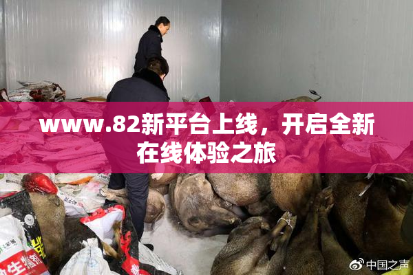 www.82新平台上线，开启全新在线体验之旅