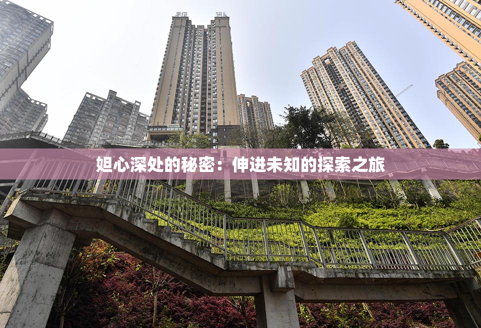 妲心深处的秘密：伸进未知的探索之旅