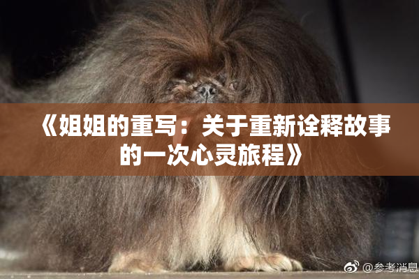 《姐姐的重写：关于重新诠释故事的一次心灵旅程》