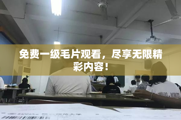 免费一级毛片观看，尽享无限精彩内容！