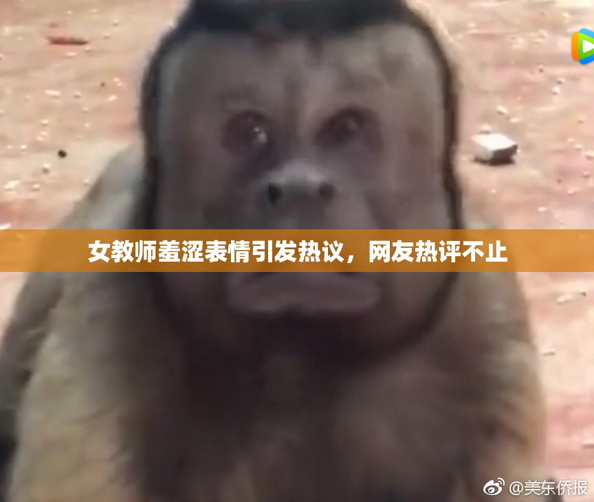 女教师羞涩表情引发热议，网友热评不止