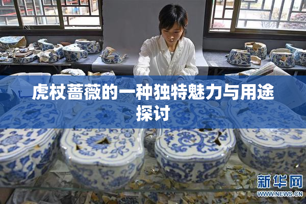 虎杖蔷薇的一种独特魅力与用途探讨