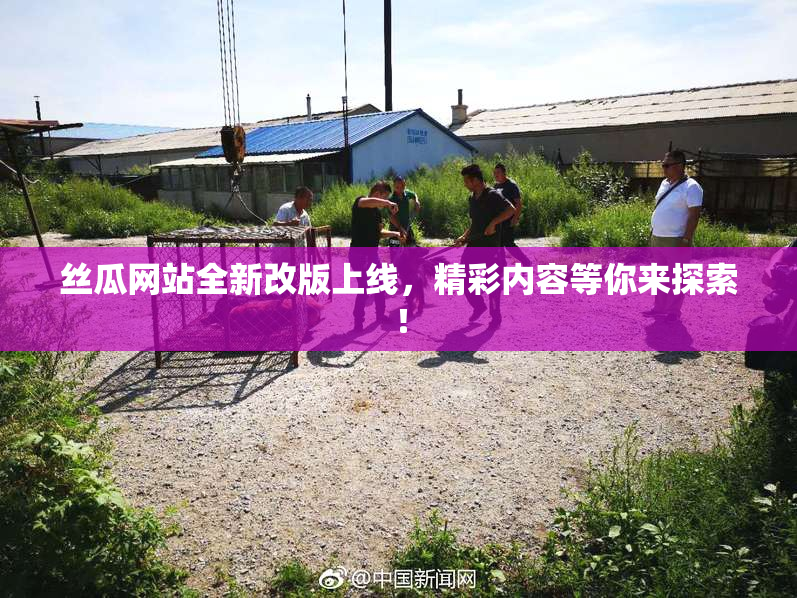 丝瓜网站全新改版上线，精彩内容等你来探索！