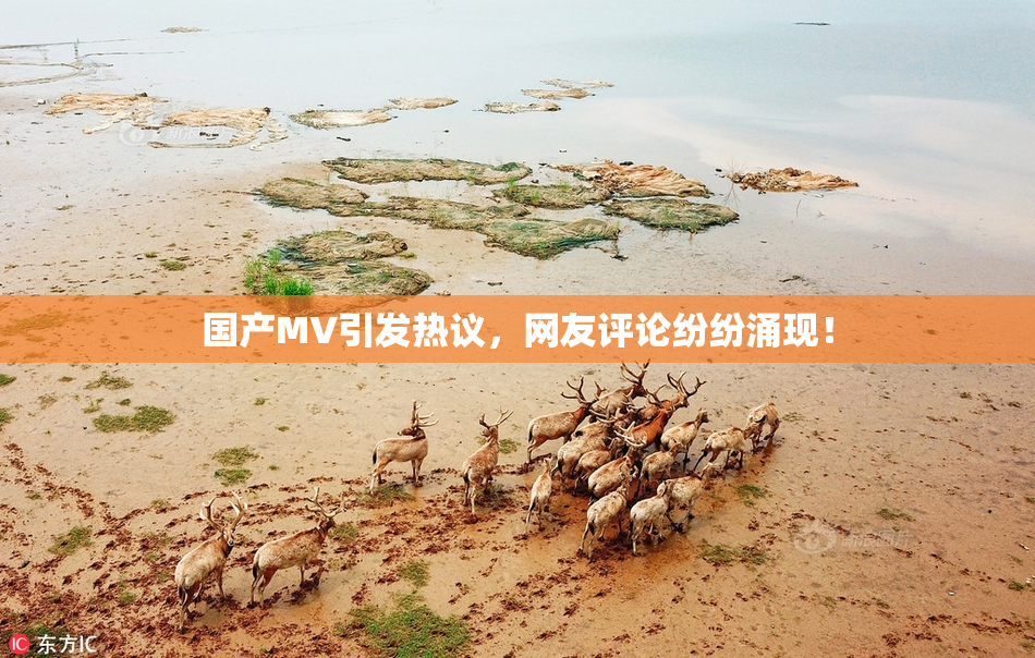 国产MV引发热议，网友评论纷纷涌现！