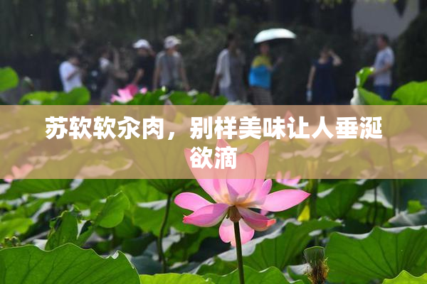 苏软软汆肉，别样美味让人垂涎欲滴